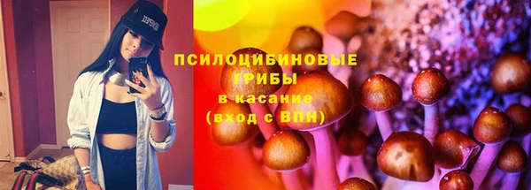 молекула духа Бородино