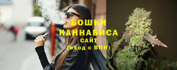 дживик Богородск
