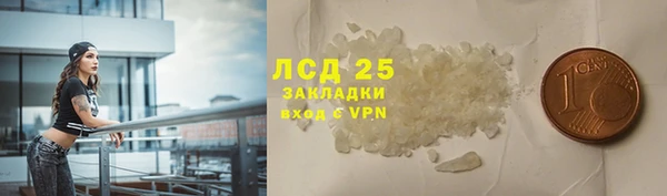молекула духа Бородино
