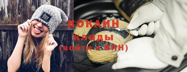 дживик Богородск
